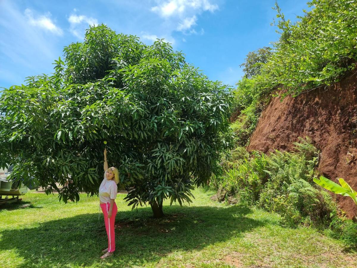 Mirella Villa Island Princess Villa Anse Volbert Village Zewnętrze zdjęcie